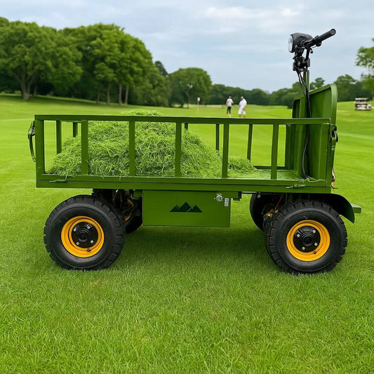 All-Terrain Buggy