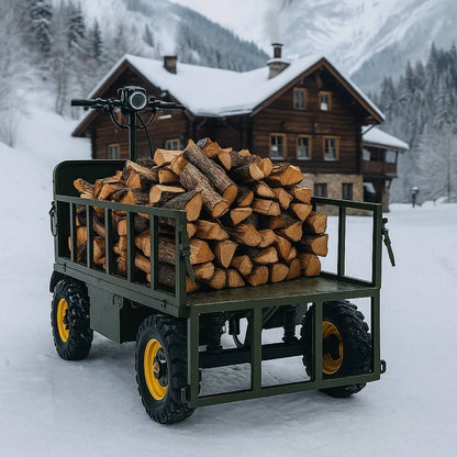 All-Terrain Buggy